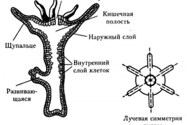 Кракен браузер ссылка