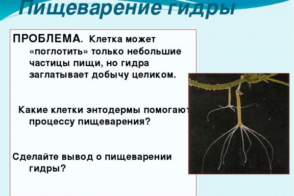 Kraken 15at сайт