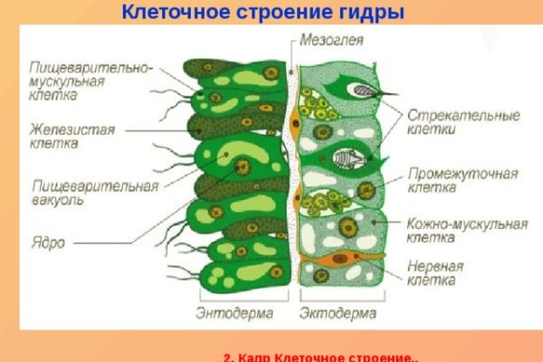 Кракен даркнет текст