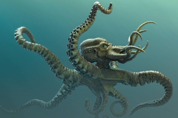 Vk kraken